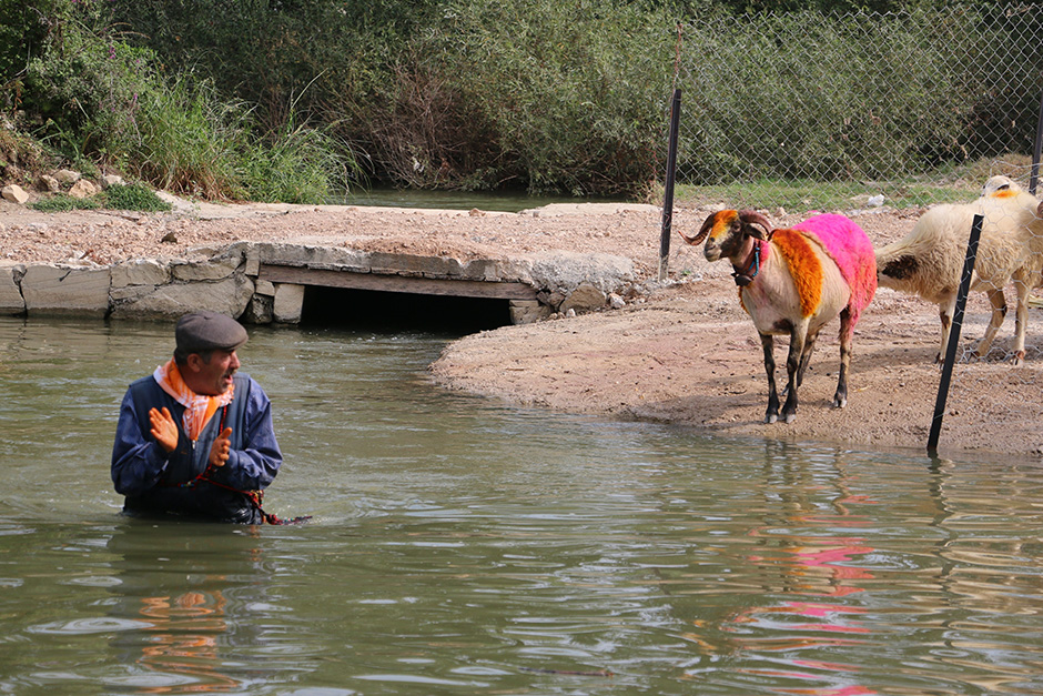 ANADOLIJA/Sebahatdin Zeyrek