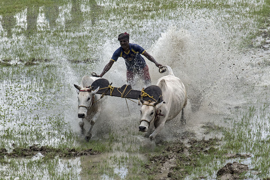 ANADOLIJA/Sushavan Nandy