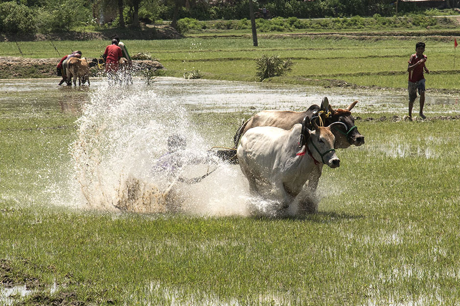 ANADOLIJA/Sushavan Nandy