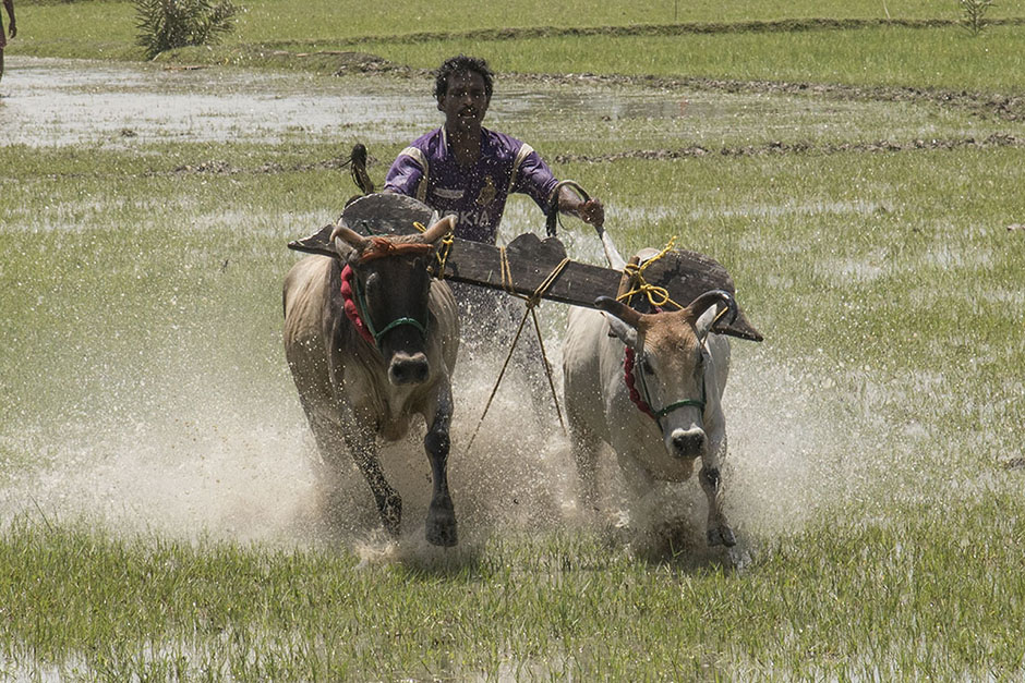 ANADOLIJA/Sushavan Nandy