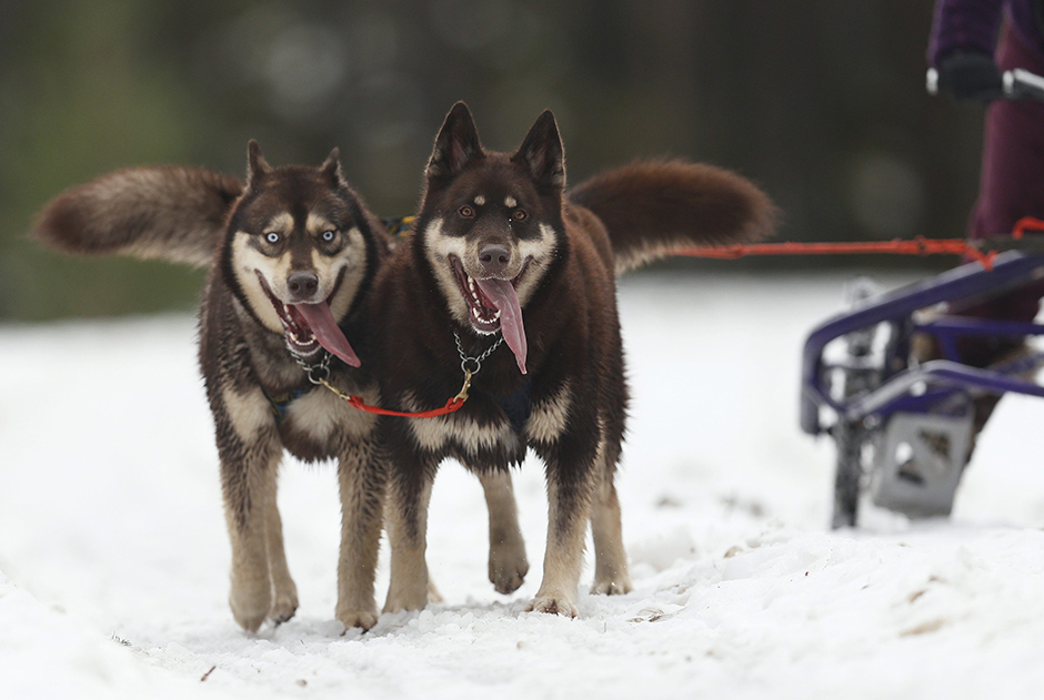 REUTERS/Russell Cheyne