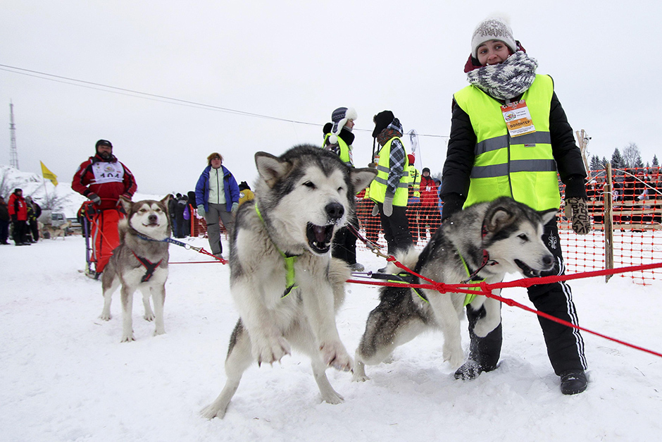 trka pasa sa saonicama (14)