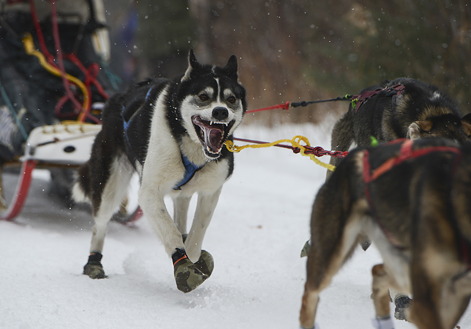 TANJUG/AP/The Star Tribune, Bridget Bennett