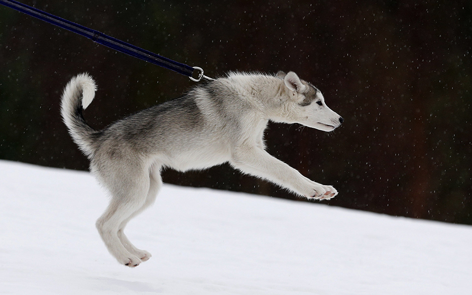 REUTERS/Russell Cheyne