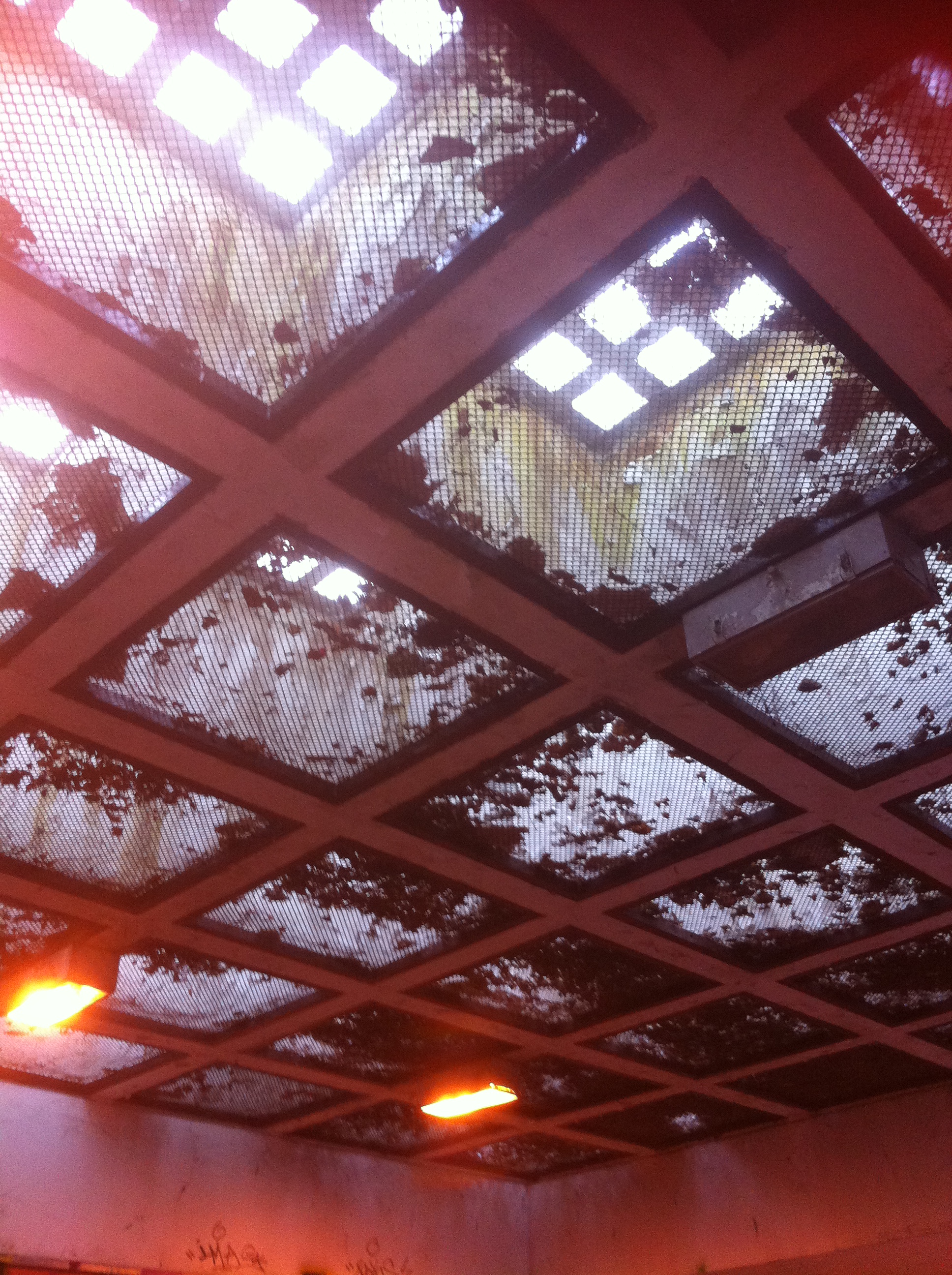 Andreja Žapčić / N1