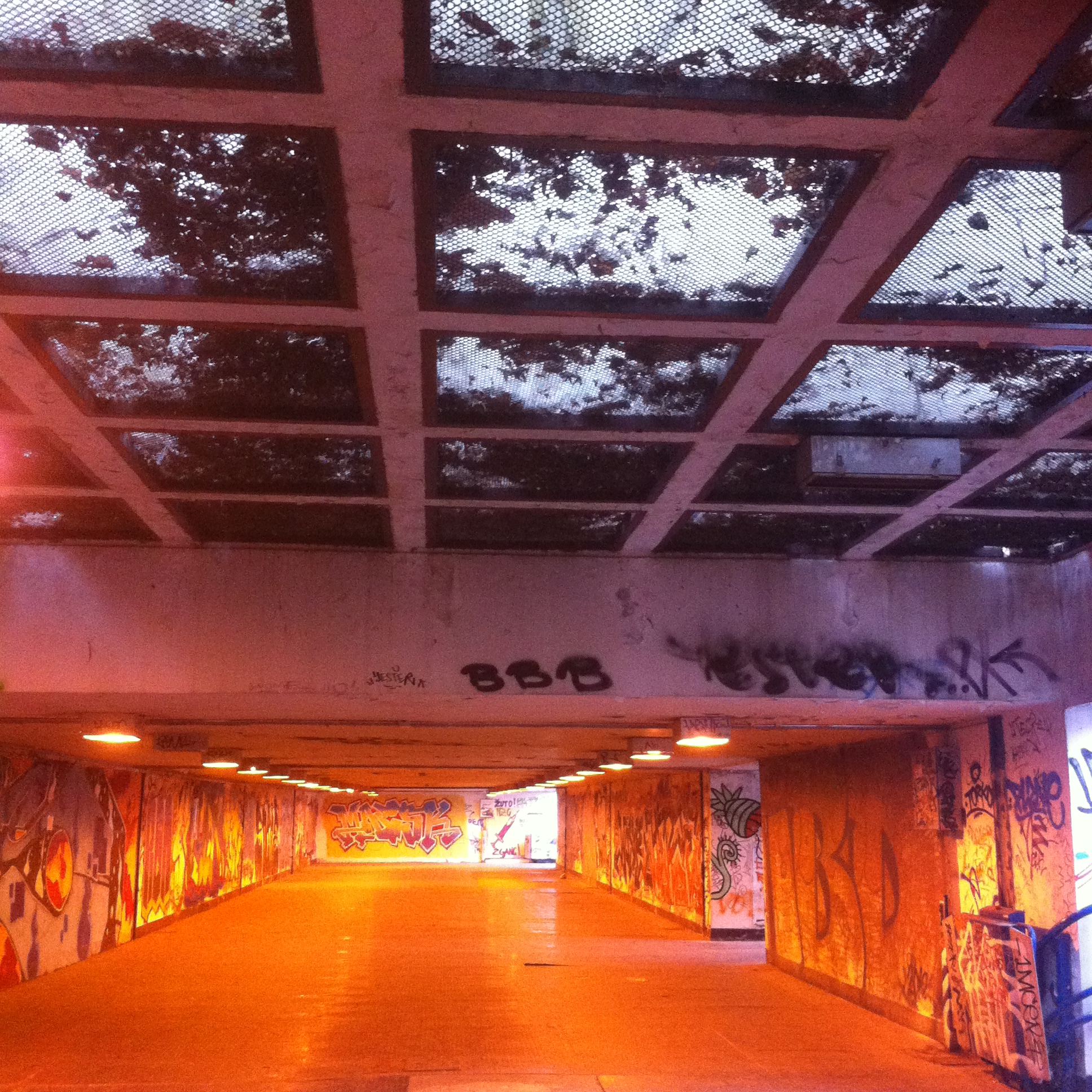 Andreja Žapčić / N1