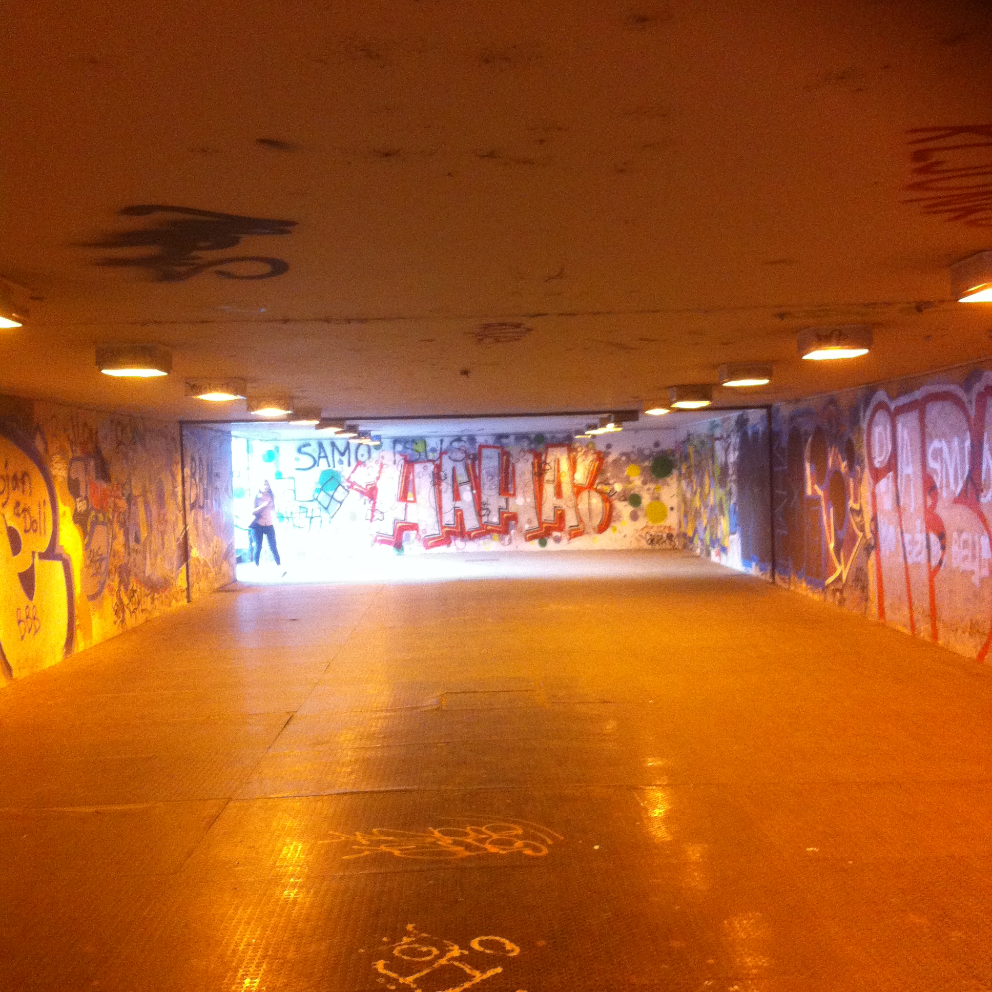 Andreja Žapčić / N1