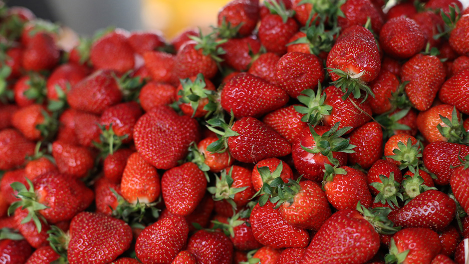 Cropix/Emica Elvedji