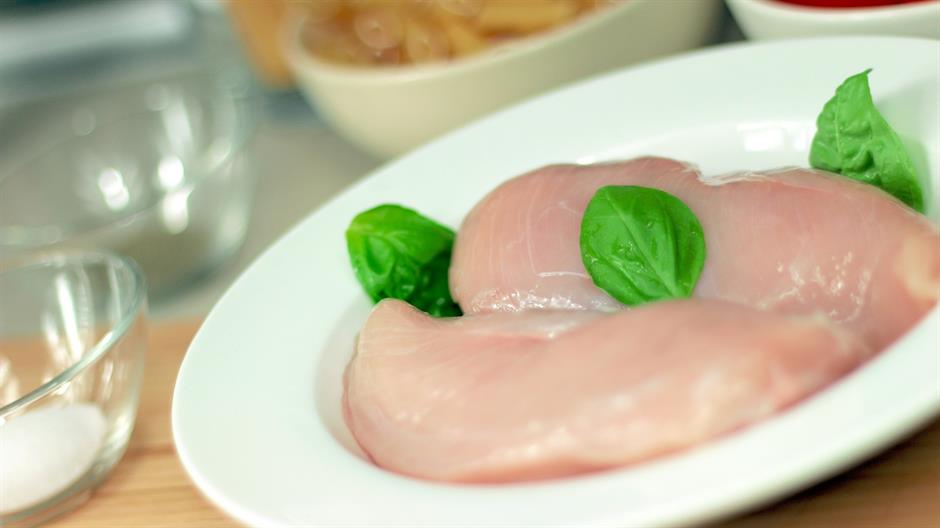 turkey-hen-569069_1920