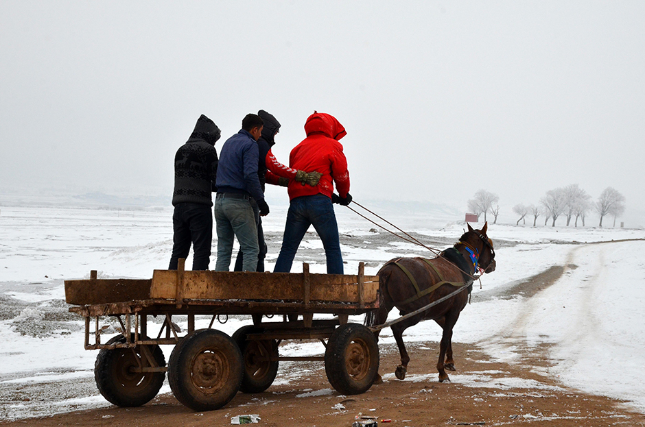 ANADOLIJA/Şener Toktaş