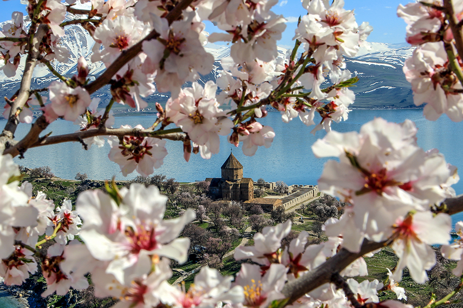 ANADOLIJA/Ali İhsan Öztürk