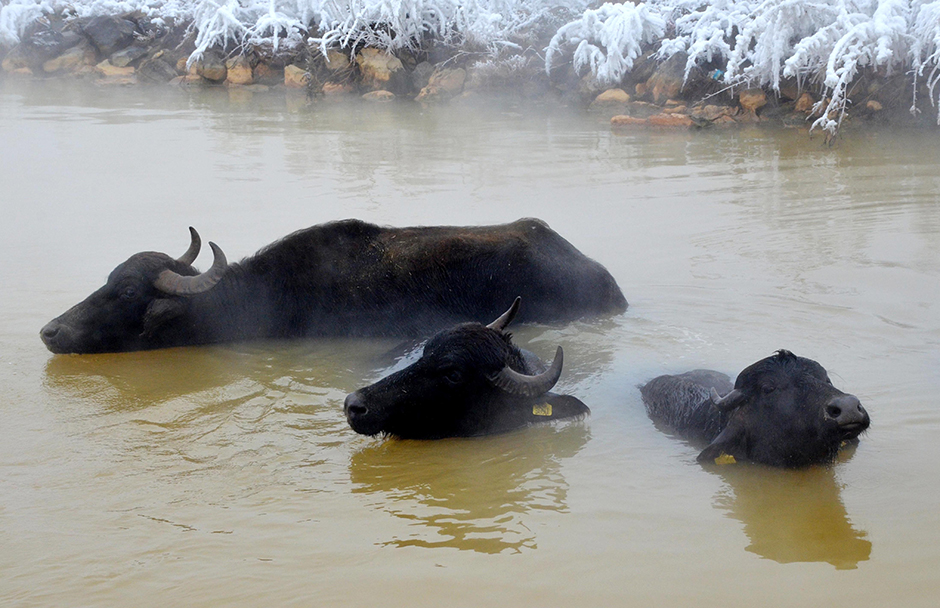 ANADOLIJA/Şener Toktaş