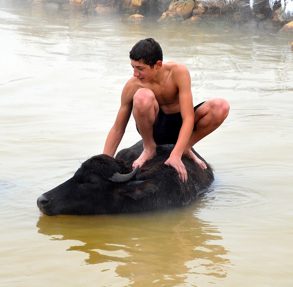 ANADOLIJA/Şener Toktaş