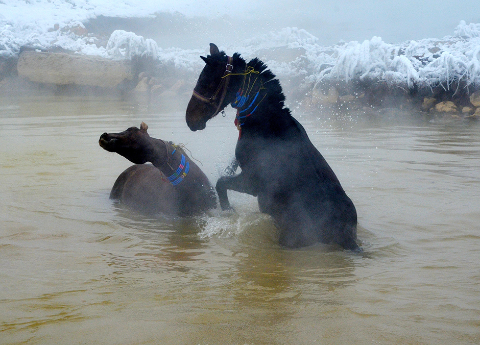 ANADOLIJA/Şener Toktaş