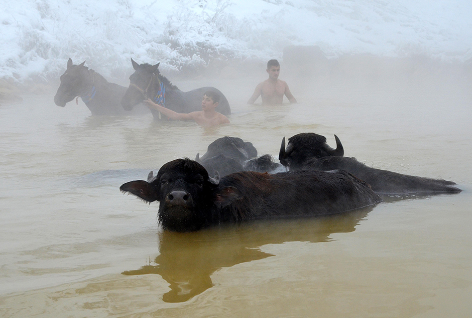 ANADOLIJA/Şener Toktaş