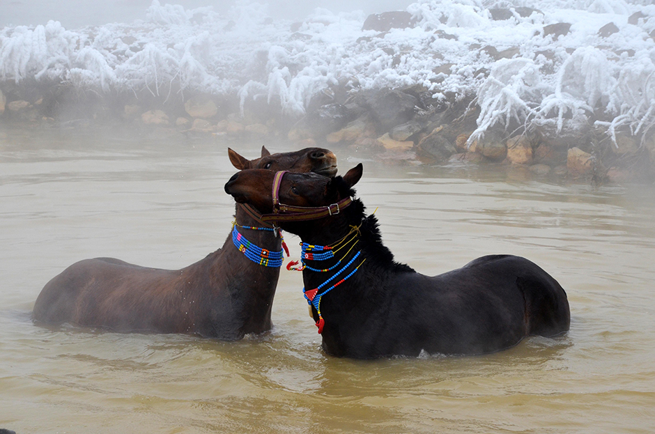 ANADOLIJA/Şener Toktaş