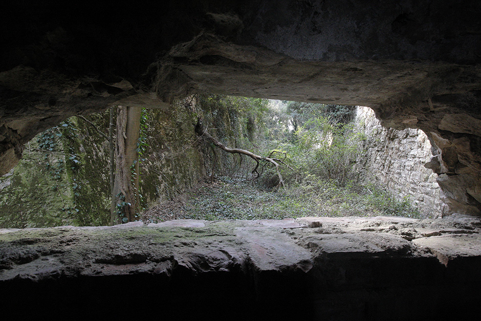 Cropix/Goran Šebelić