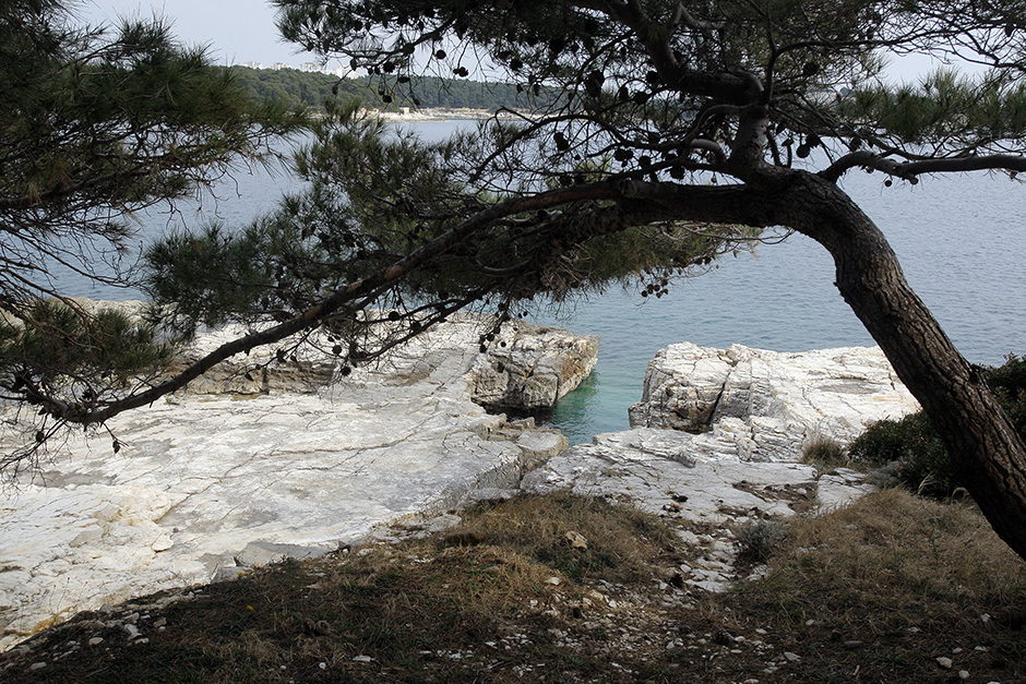 Cropix/Goran Šebelić