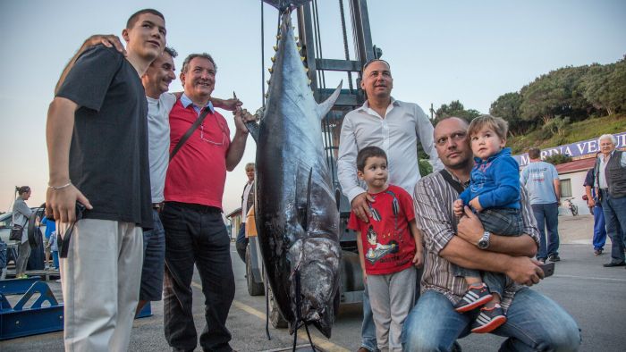 ulov_tuna1-cropix300914.jpg