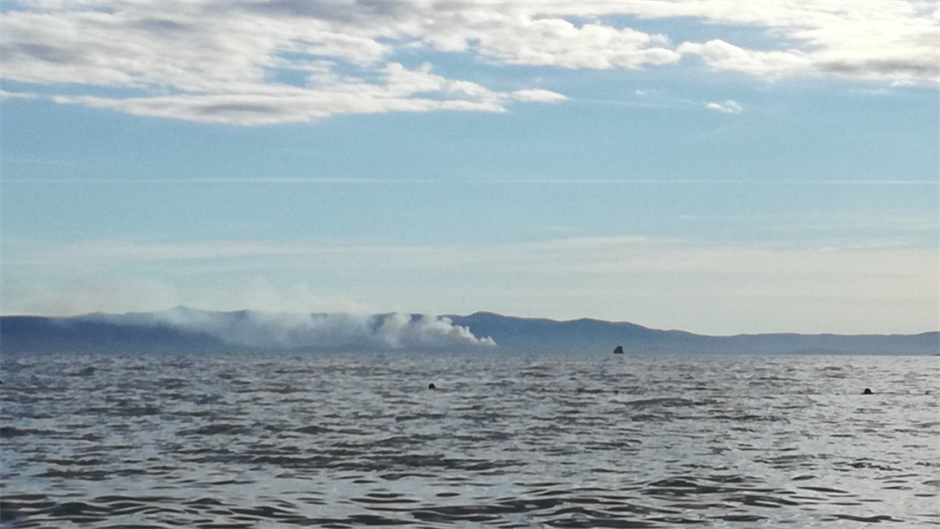 N1 / Nataša Božić