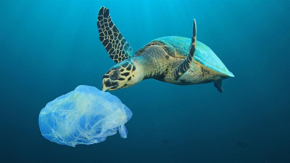 Utjecaj plastičnog otpada na morski svijet