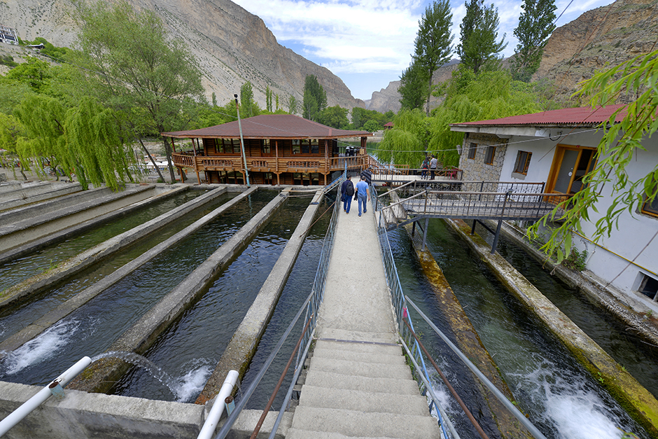 ANADOLIJA/Özkan Bilgin