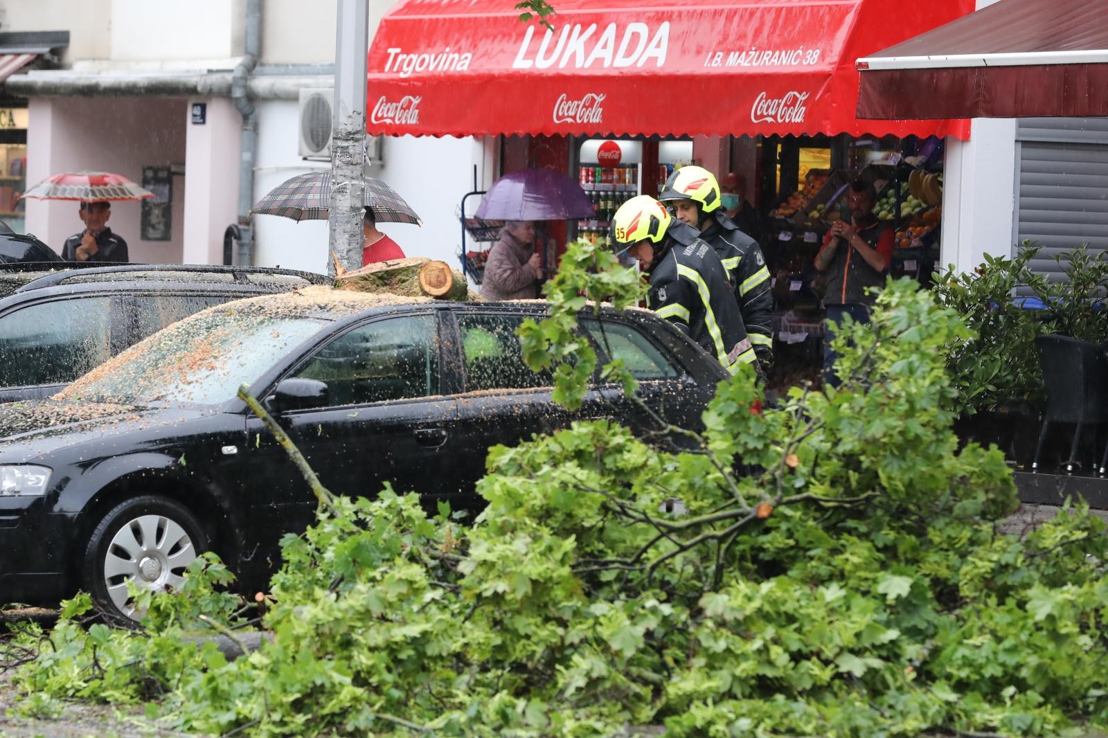 vatrogasci-kisa-stablo-automobili-212031.jpeg