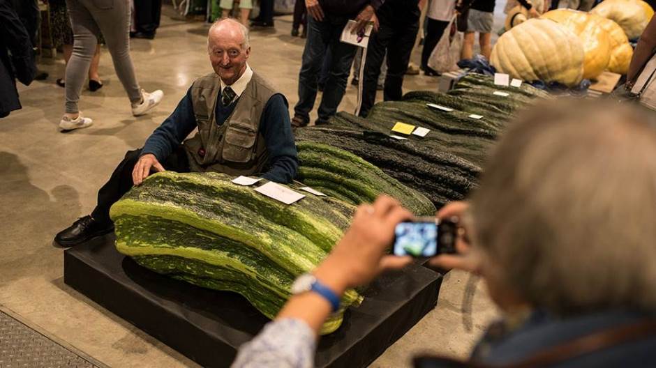 veliko povrce foto afp OLI SCARFF (10)
