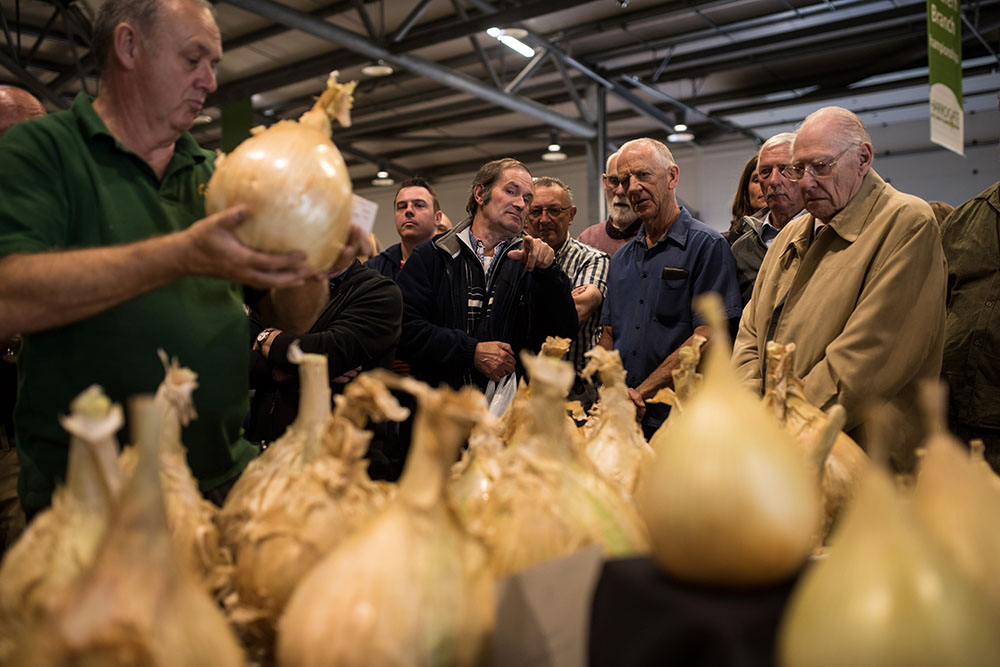 veliko povrce foto afp OLI SCARFF (4)