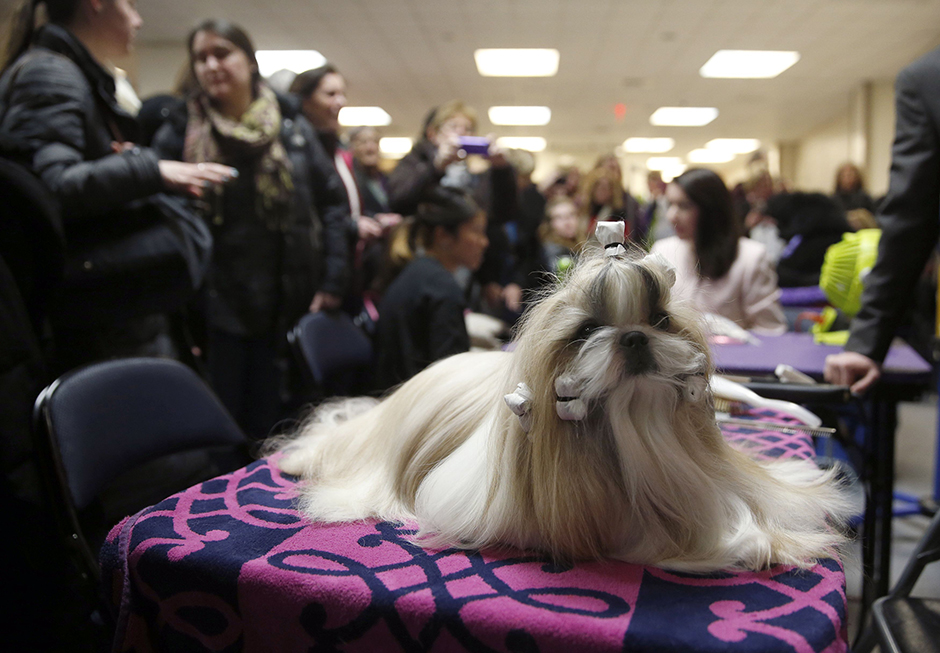 Reuters/Shannon Stapleton