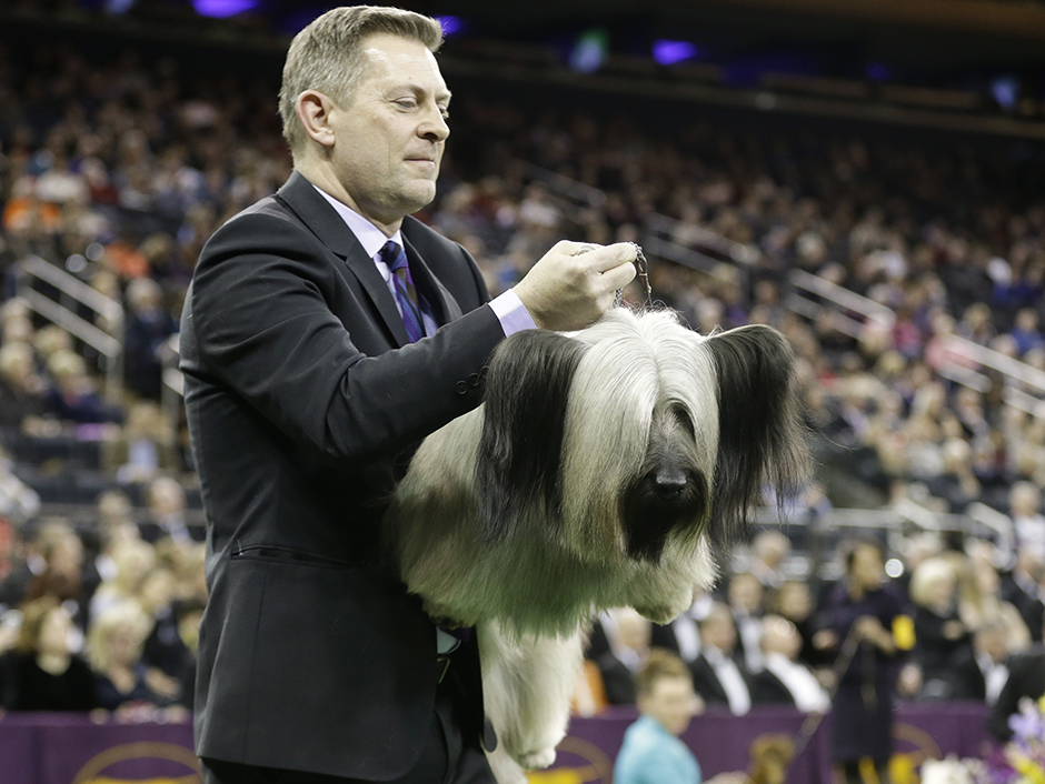 TANJUG/Frank Franklin II