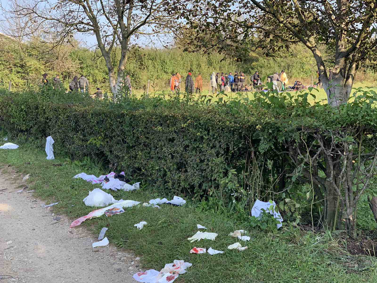 viber_image_2020-10-01_09-31-09