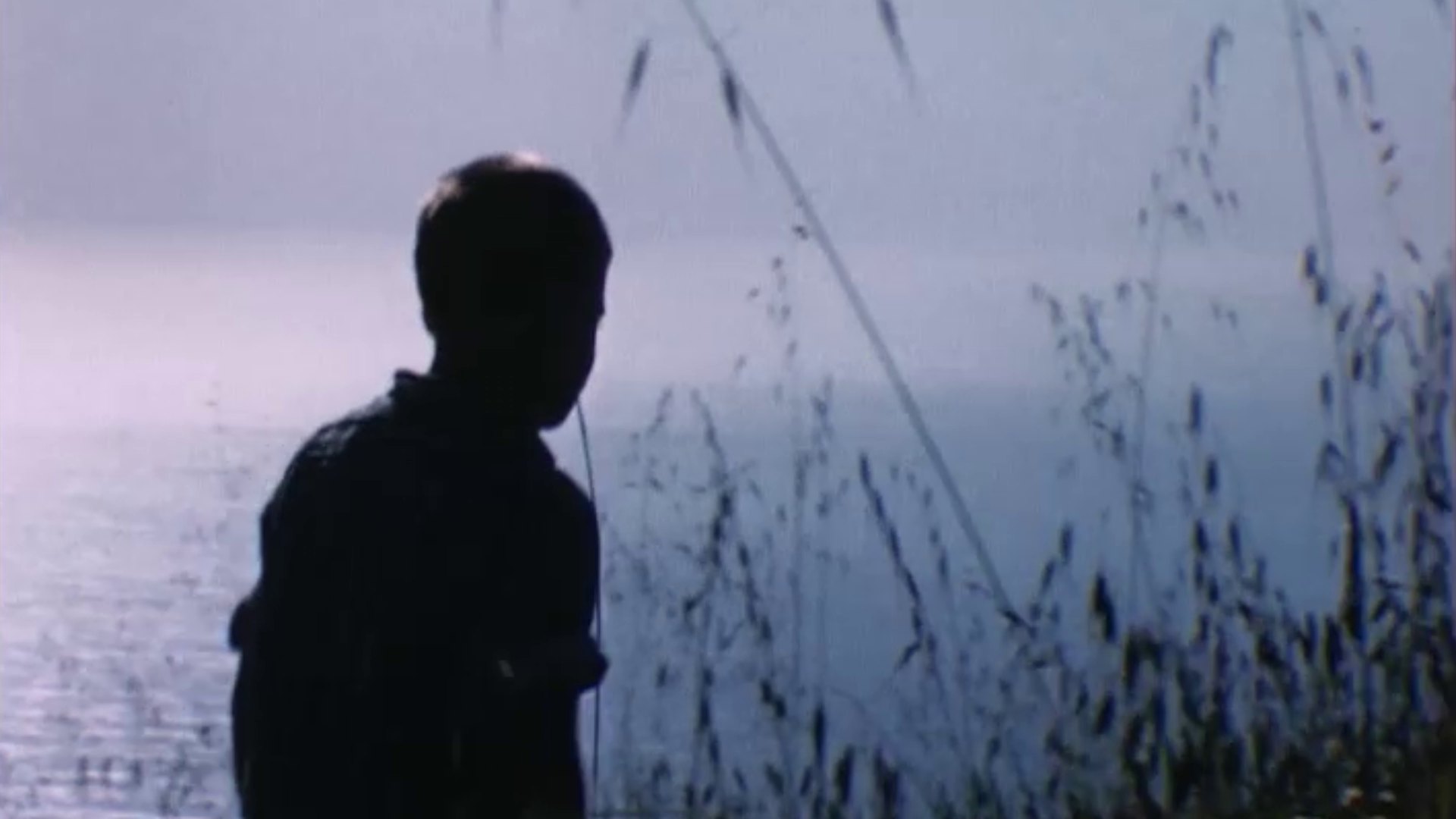 vlcsnap-2021-02-10-15h57m26s046