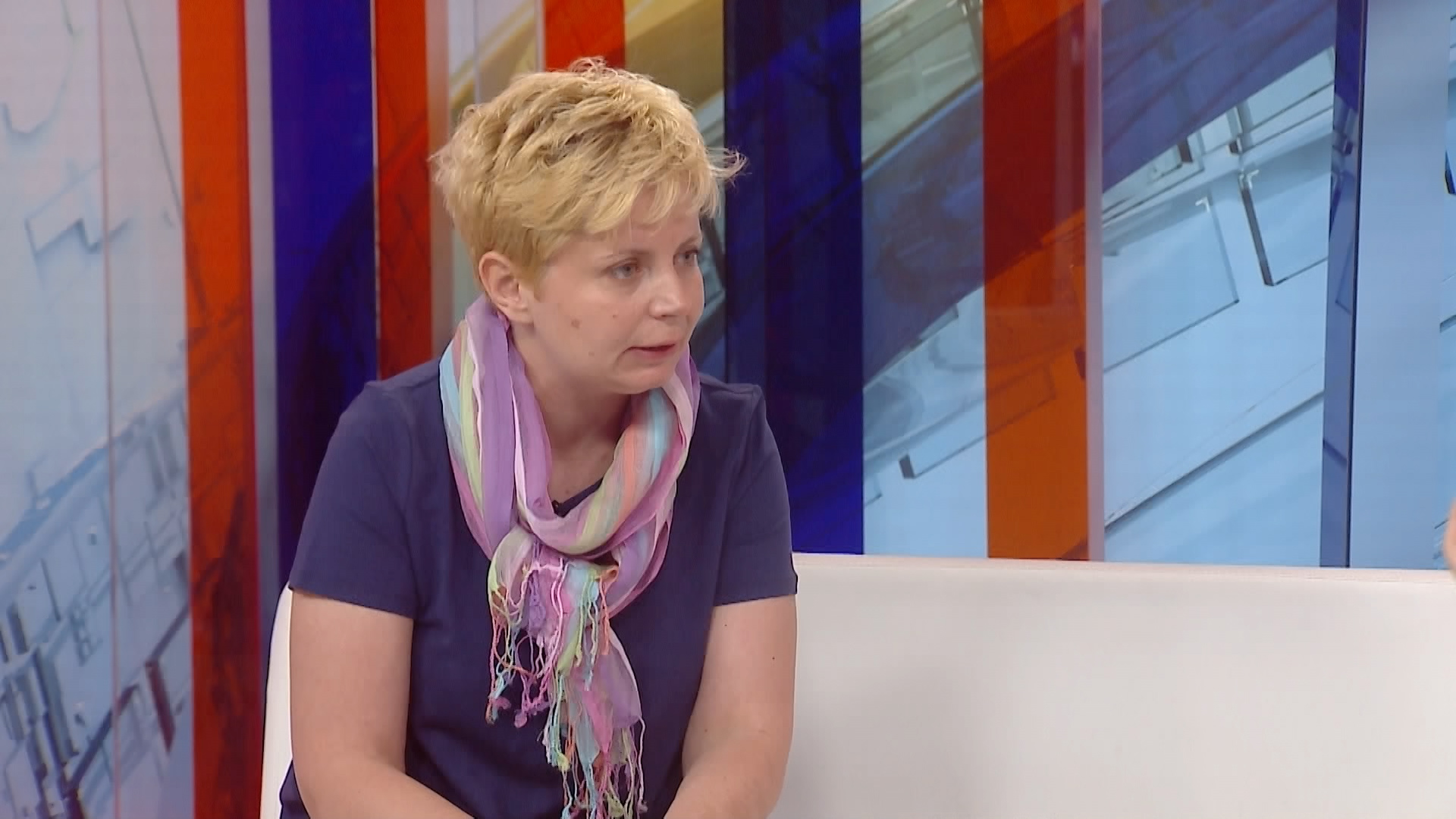 vukosava crnjanski 1 n1