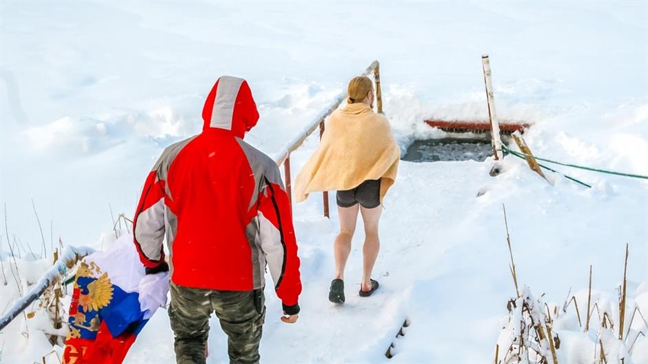 walrus-2750985_960_720