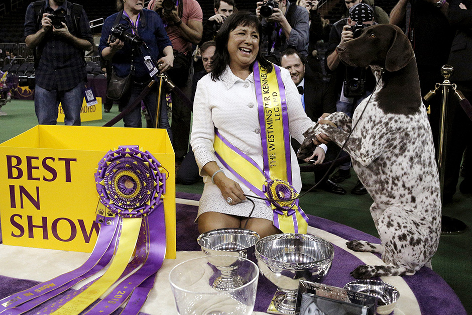 Westminster  re (15)