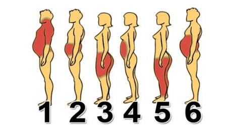 What-Type-of-Weight-Gainer-are-You-Learn-the-Best-Ways-to-Lose-Weight-for-Your-Body-Type