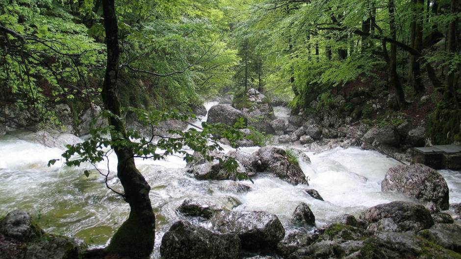 white-water-67673_1920