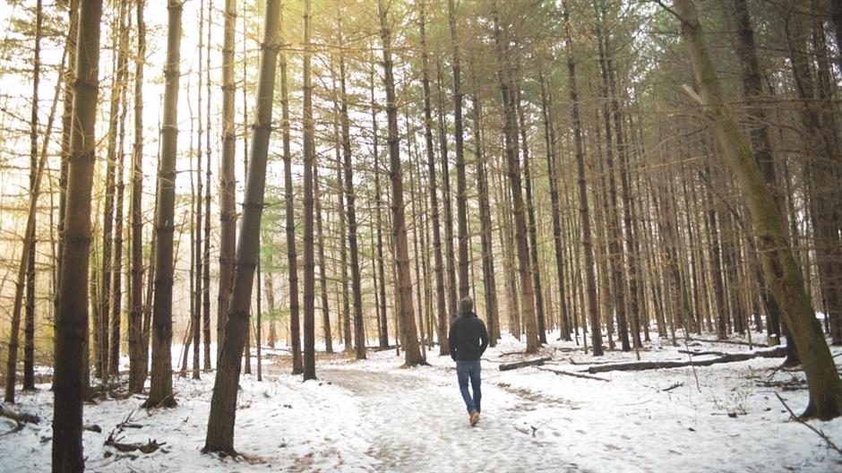 woods-690939_960_720