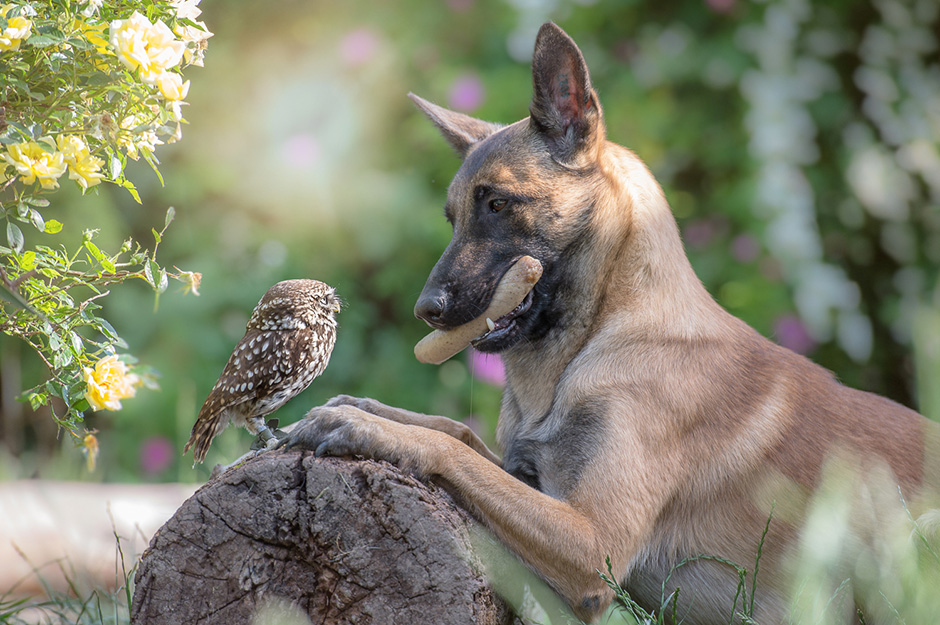 Tanja Brandt