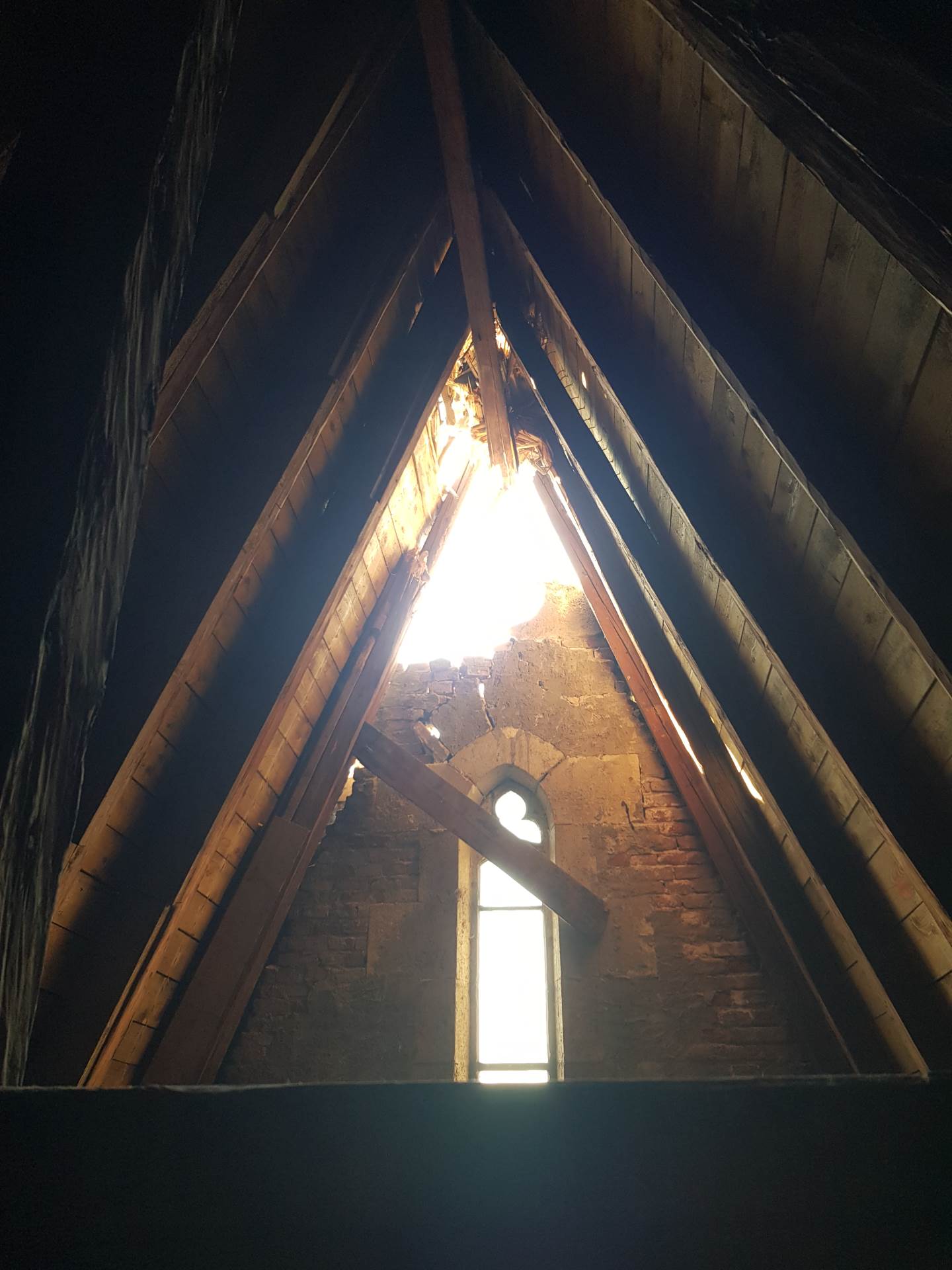 Damir i Ivan Foretić