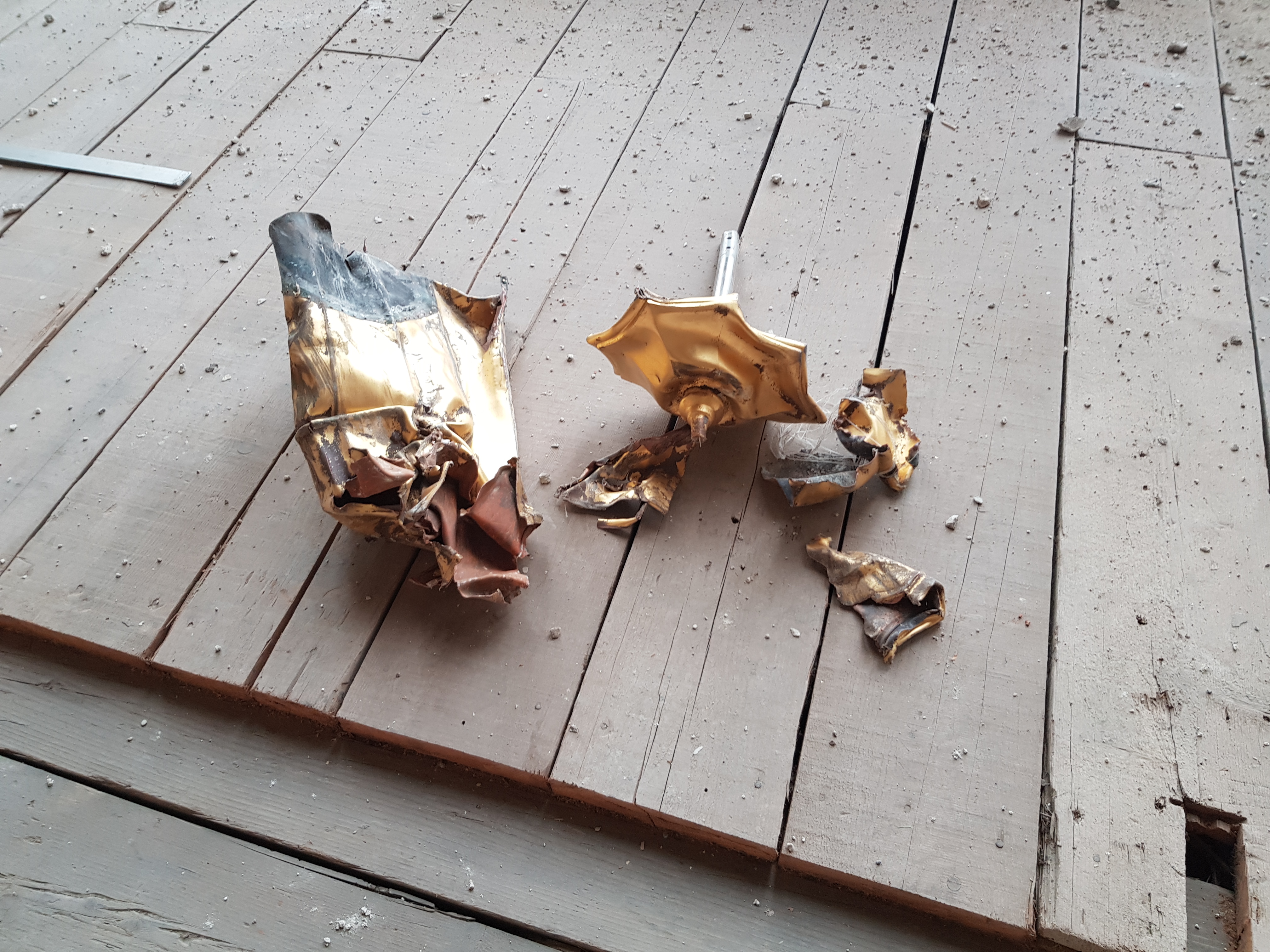 Damir i Ivan Foretić