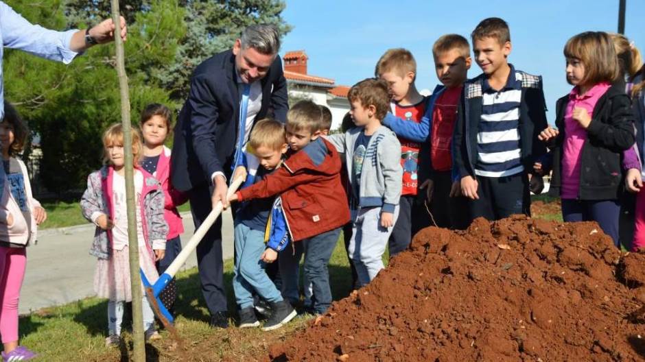 Zasadi drvo ne panj Boris Miletić