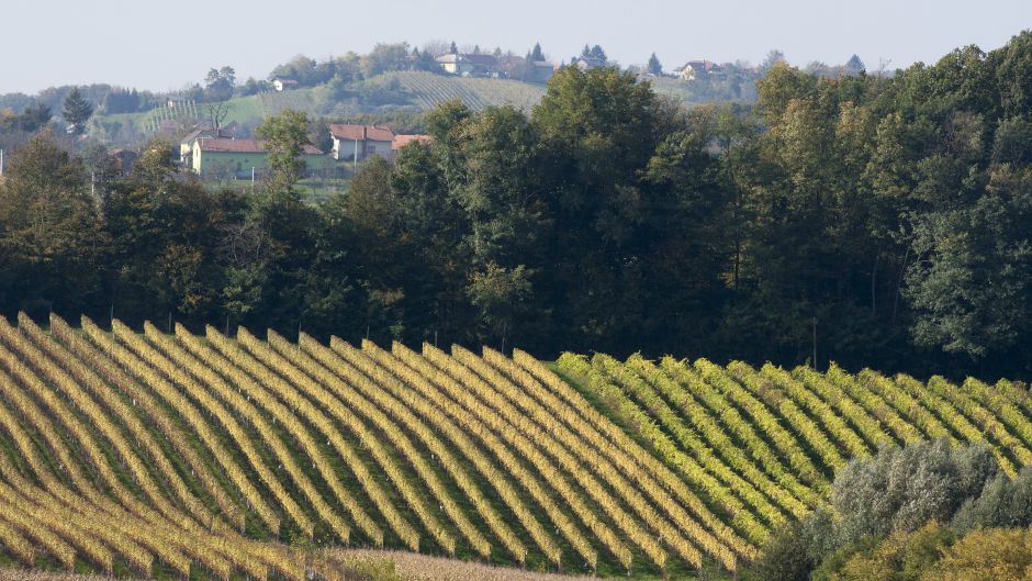 ZeljkoHajdinjak_medjimurje_jesen2-121014