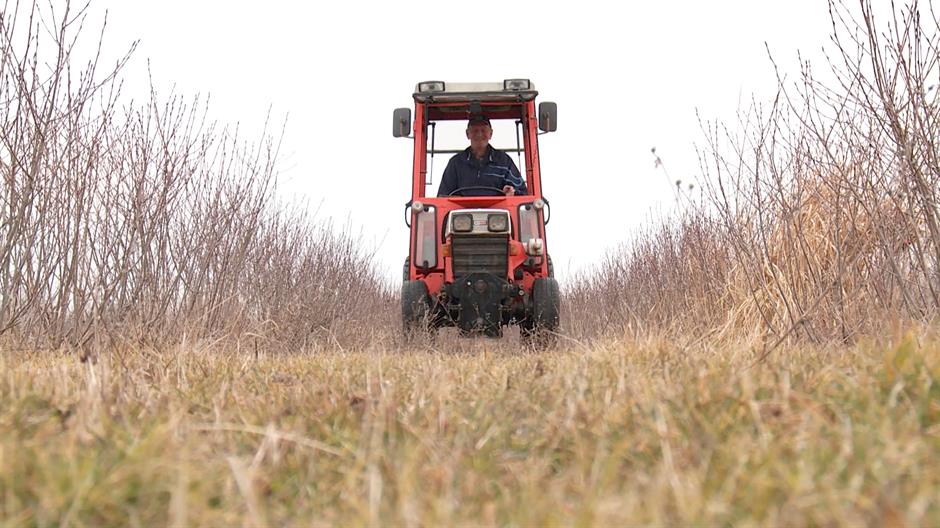 zemljište Agrokor 2