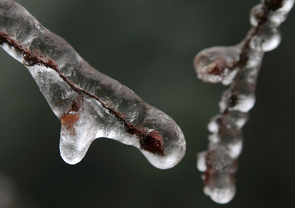 REUTERS/Heinz-Peter Bader