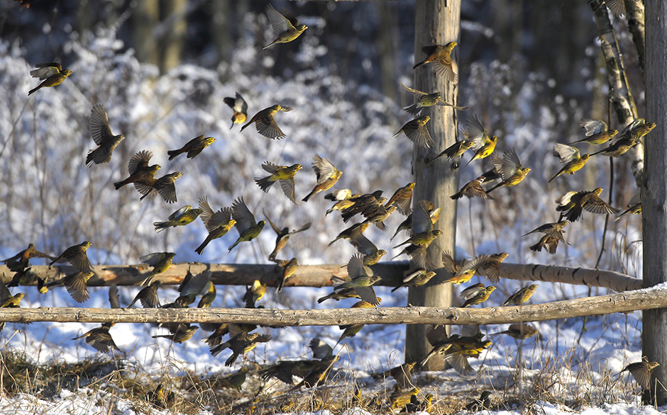 Tanjug/AP/Sergei Grits