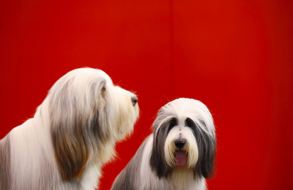 REUTERS/Darren Staples