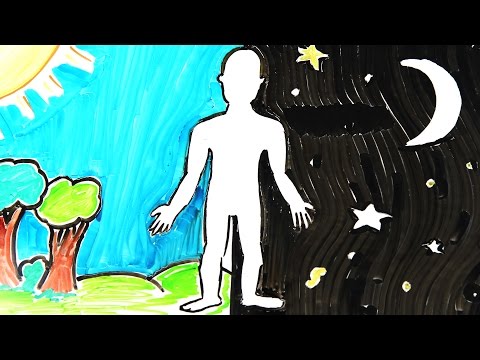 Znate li što se sve događa vašem tijelu tijekom dana?