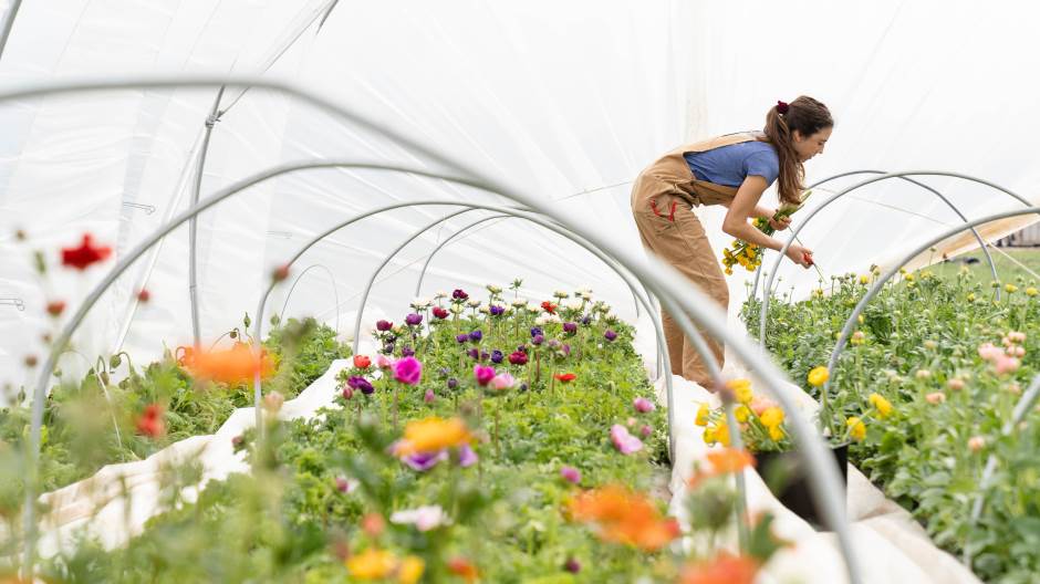 zoe-schaeffer-ERVDg4pXUBE-unsplash